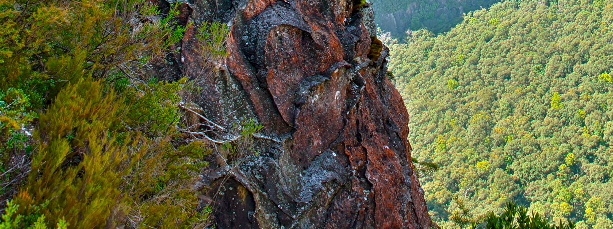 造訪伊利西安岩石觀景台 (Elysian Rock Lookout)，將傑米森谷 (Jamison Valley) 的寧靜全景盡收眼底，感受彷彿漂浮在懸崖邊緣的空中之感。