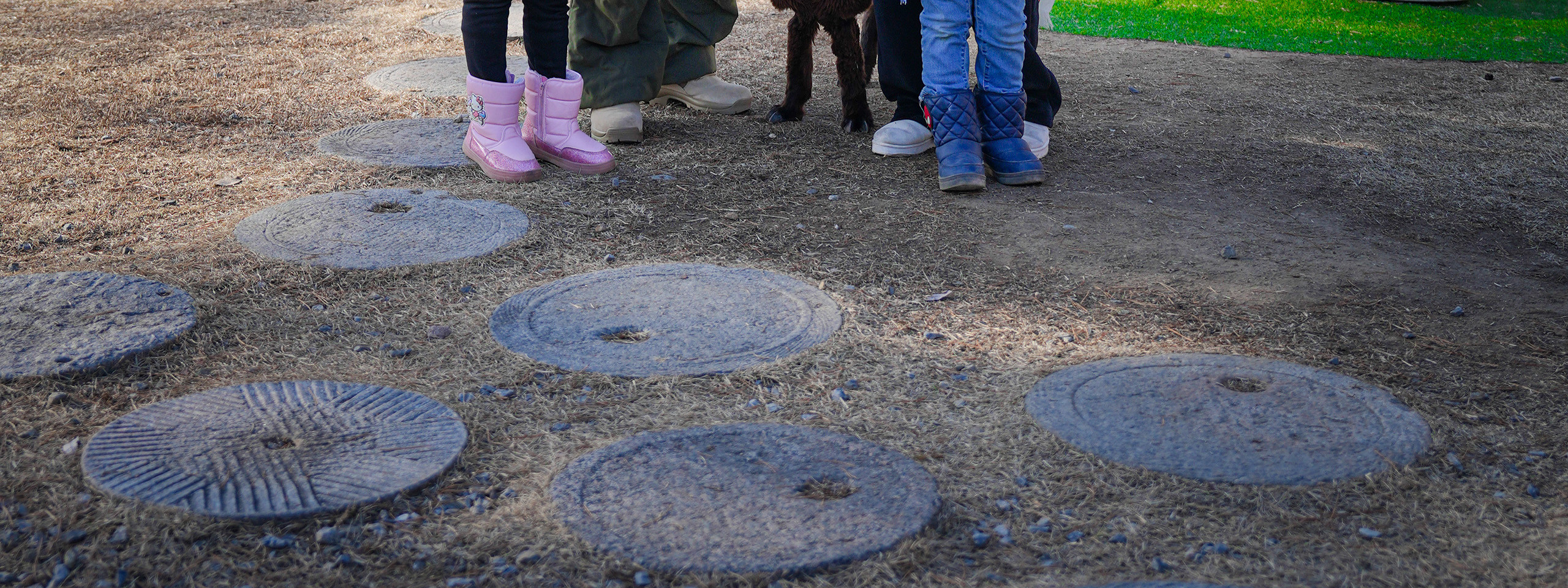 在這場近距離接觸體驗中,餵食、撫摸可愛的草泥馬,並跟牠們一起自拍! 在這場近距離接觸體驗中,餵食、撫摸可愛的草泥馬,並跟牠們一起自拍!