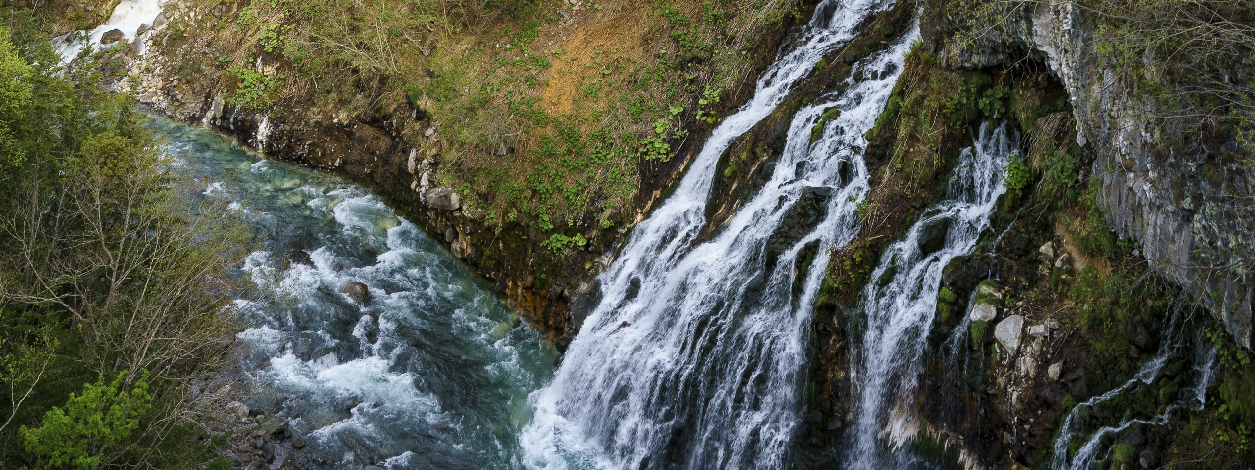 北海道｜夏日富良野浪漫追逐薰衣草花田一日團｜日之岀公園／富田農場／四季彩之丘+白金青池+美瑛牧場｜札幌出發