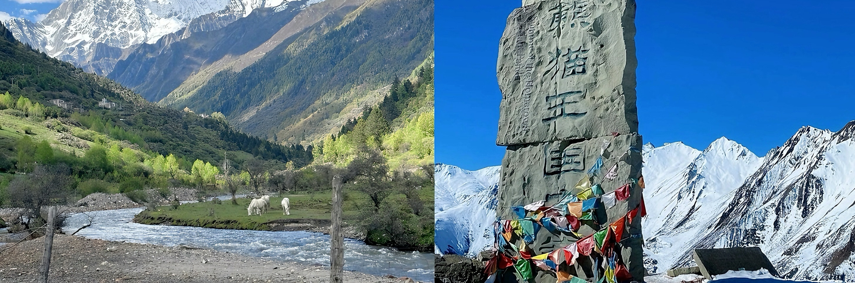 四川成都四姑娘山2日遊（雙橋溝+長坪溝徒步·巴朗山雲海+藏寨篝火+美食夜宴）
