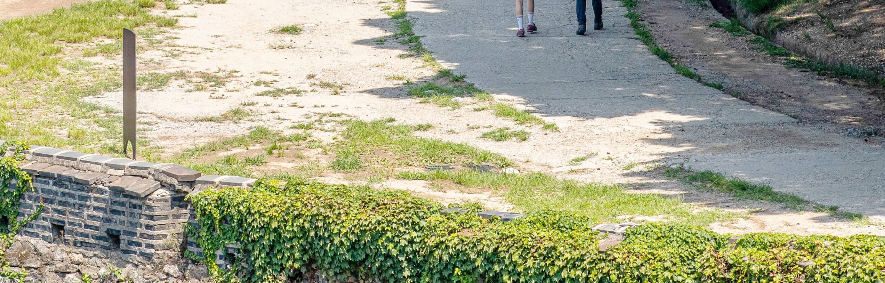 和談林植物園 & 南漢山城 & 民俗村一日遊