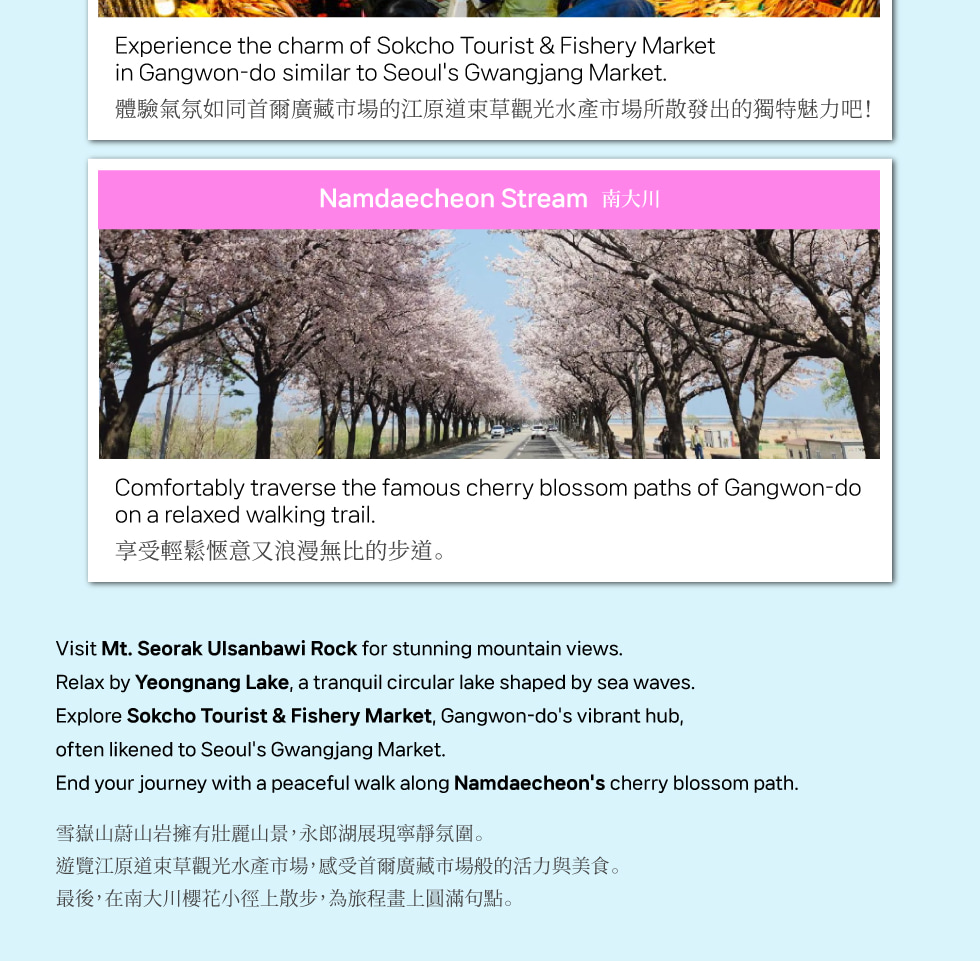江原道春季賞櫻之旅（首爾出發）