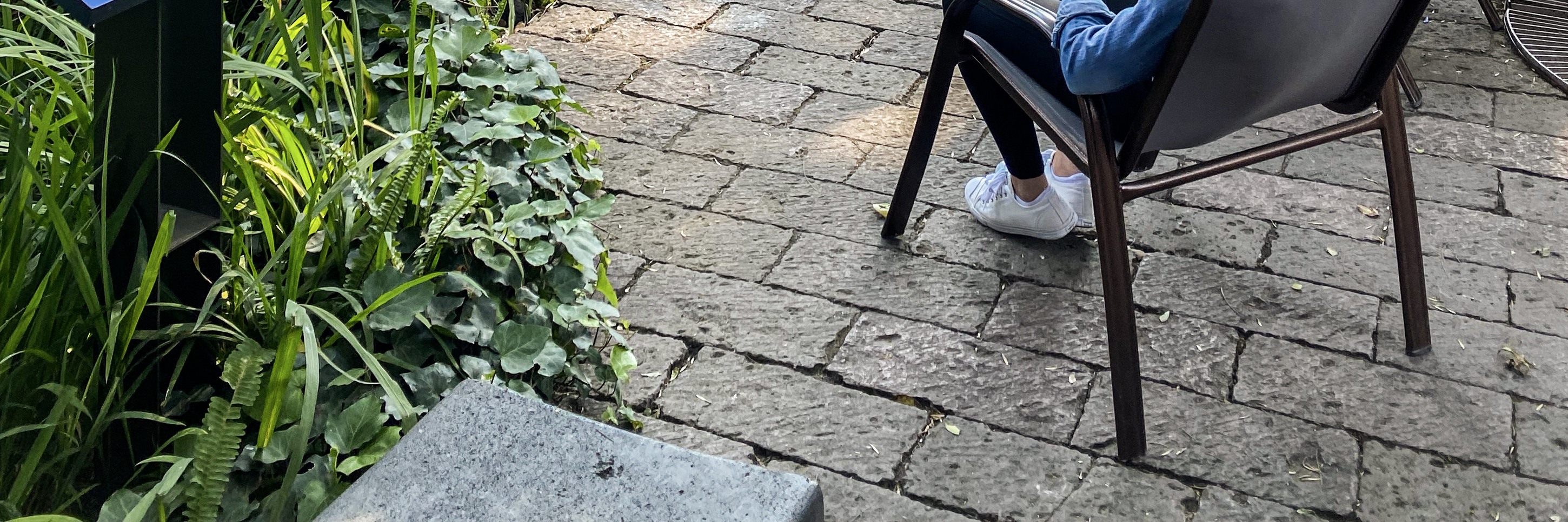 芙烈達卡蘿博物館門票