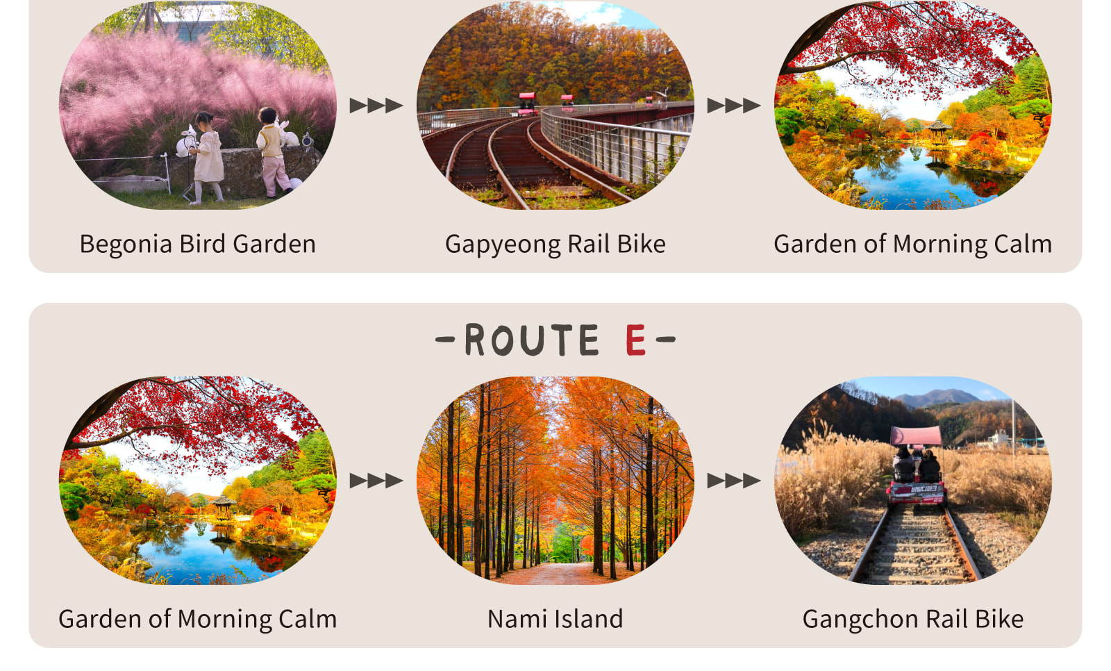 Looking for the perfect mix of nature, family fun, and Instagrammable adventures? This one-day, takes you on a magical ride through Gangwon-do and Gyeonggi-do’s top attractions, from fluffy alpacas and blooming gardens to scenic railbiking and the imagina