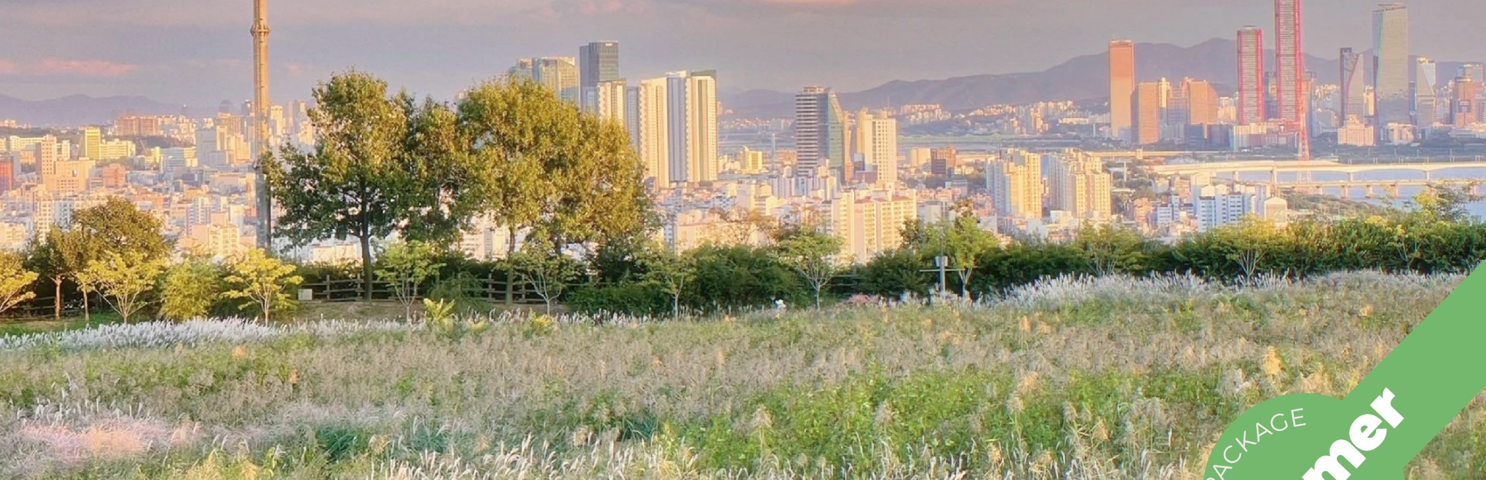 首爾市 & 季節性熱門景點一日遊