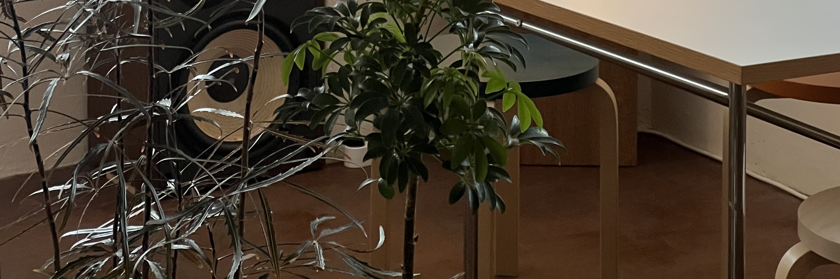 韓國及亞洲茶道體驗