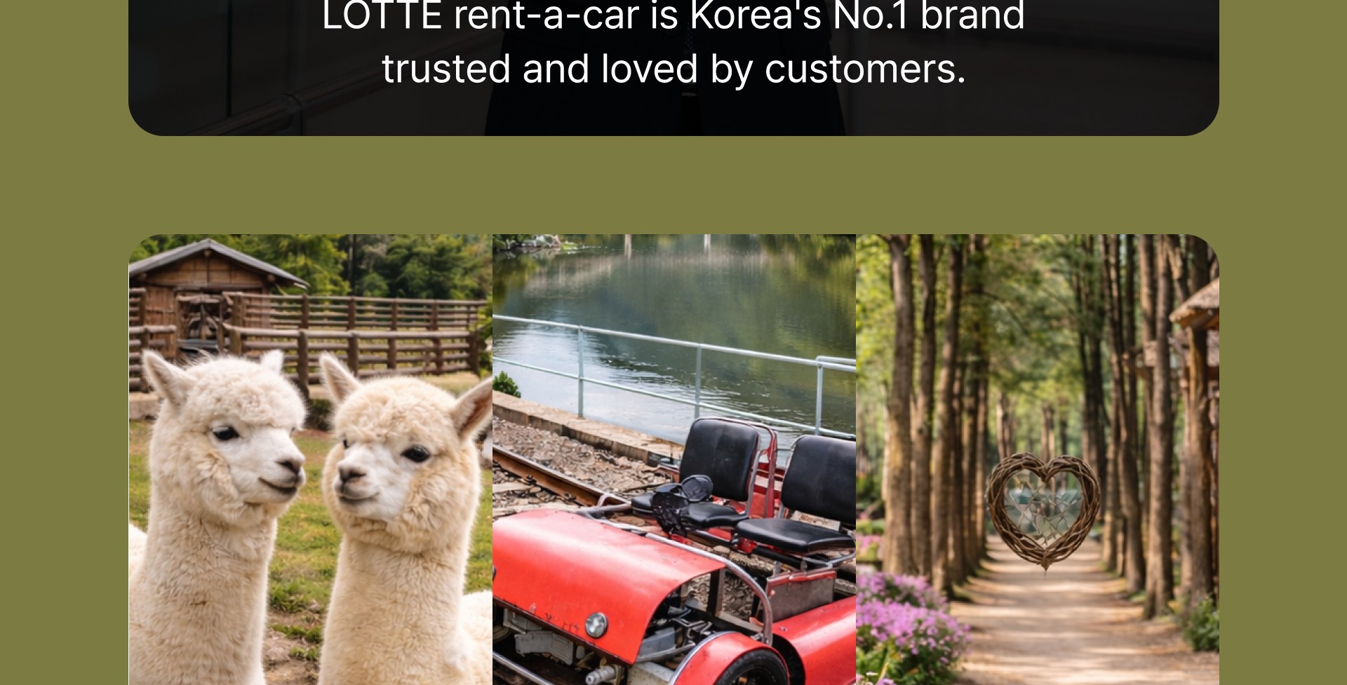 Best of Gangwon-do: Nami Island & Alpaca World Private Car Charter
