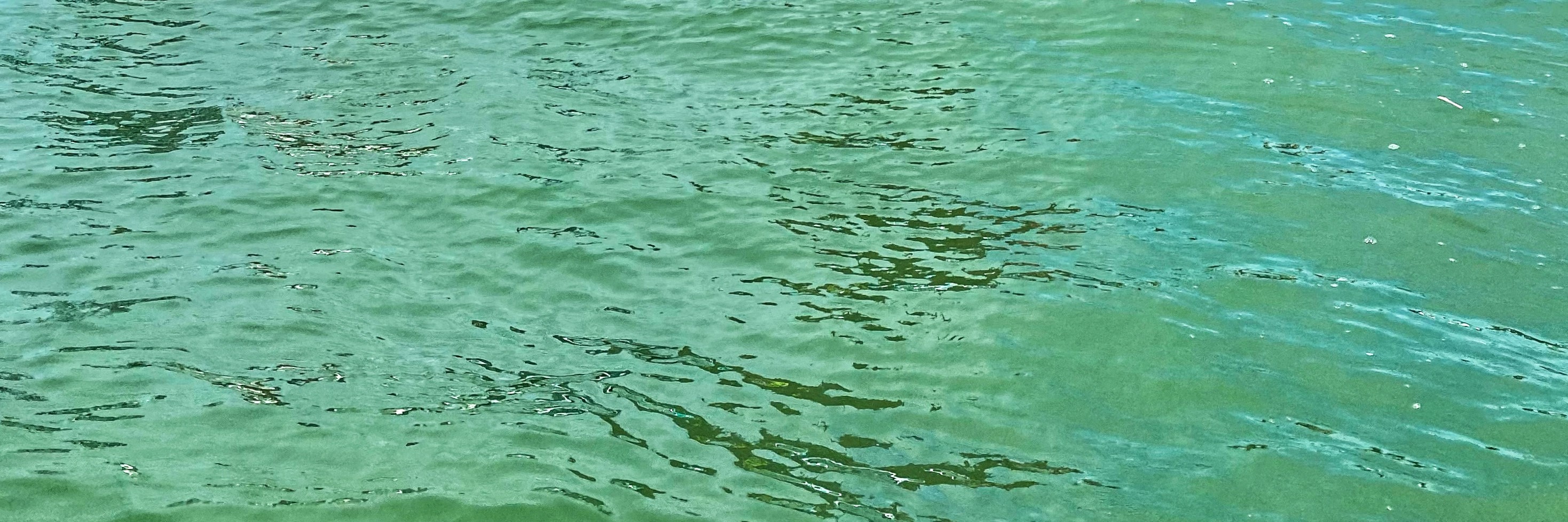 TSA Thailand提供的芭提雅高級水上摩托艇4島遊及租賃