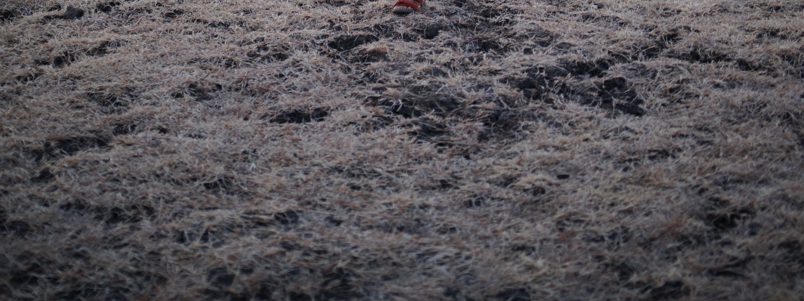baluran