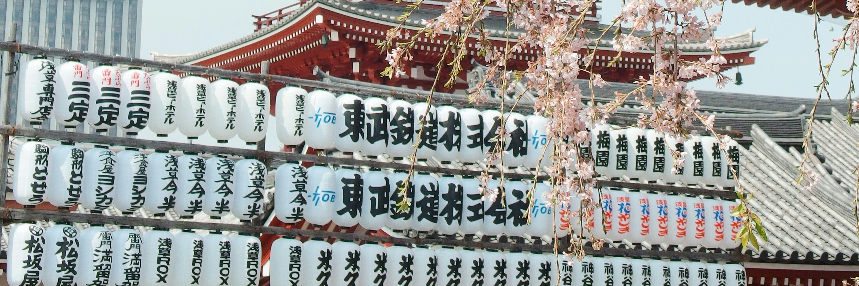 東京市區定製包車私家團一日遊 | 銀座晴空塔 | 城市深度探索