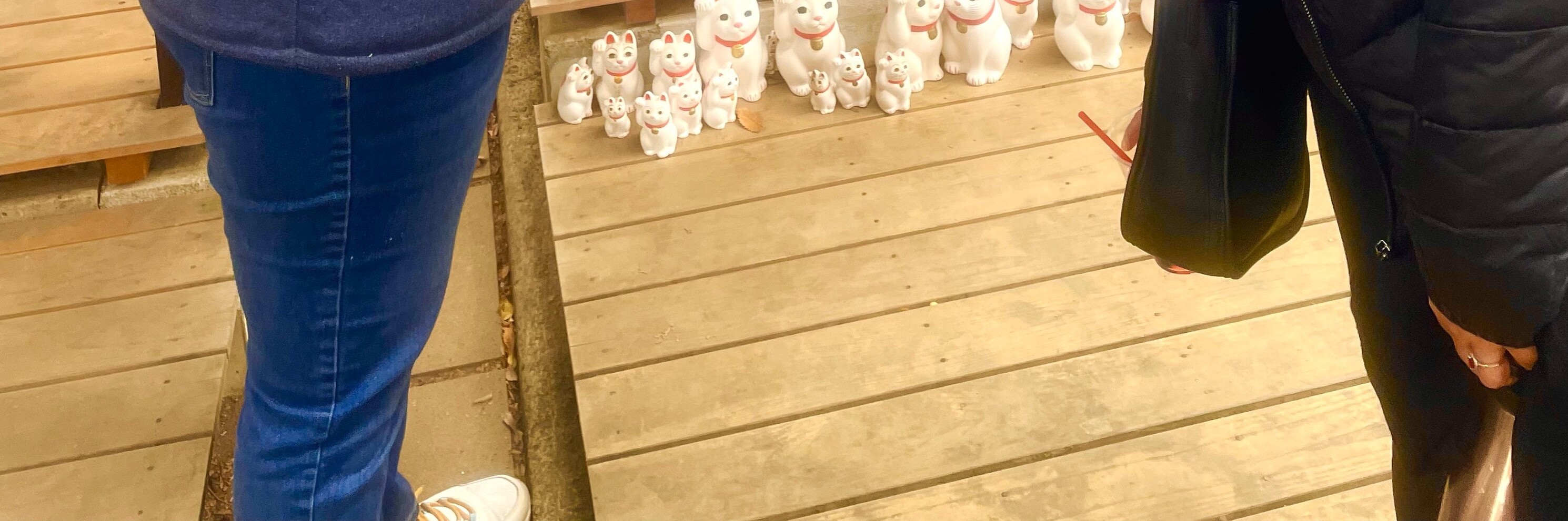 Tokyo: Gotokuji Cat Temple, Shinjuku Cat Café and Giant 3D Cat tour 