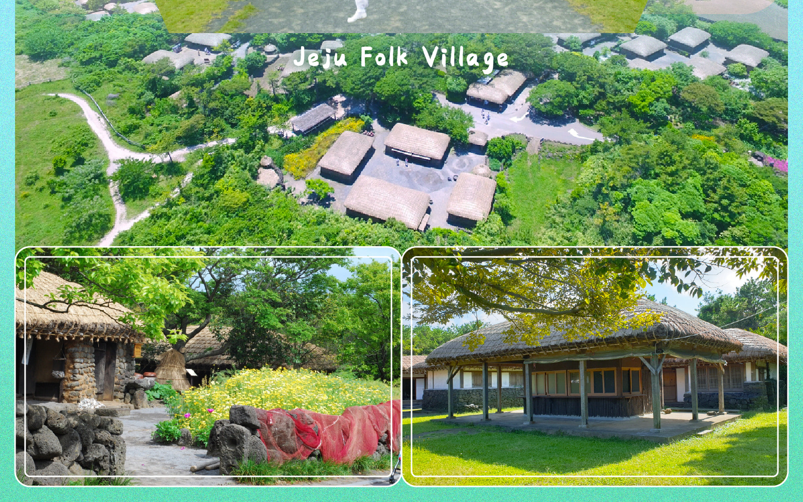 Jeju Eastern / Western / Cherry Blossom / Hydrangea / Private Tour 