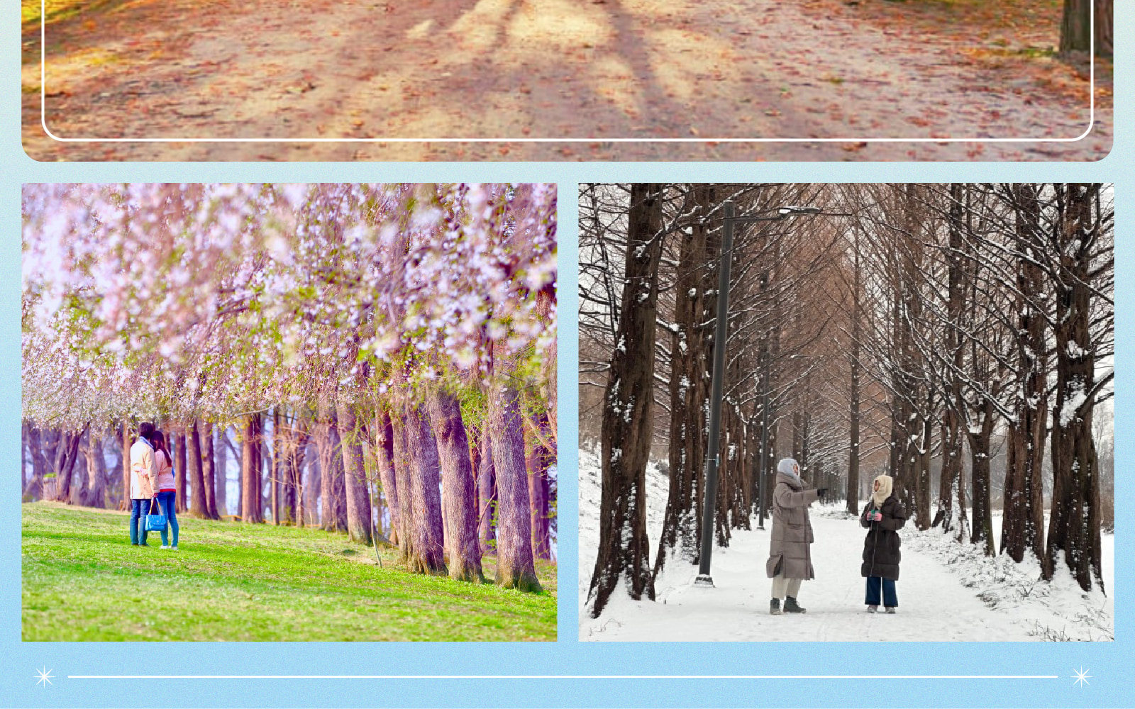 三岳山纜車 / 晨靜樹木園 燈光節 / 採摘草莓 / Eobi冰谷 / 雪橇 一日遊