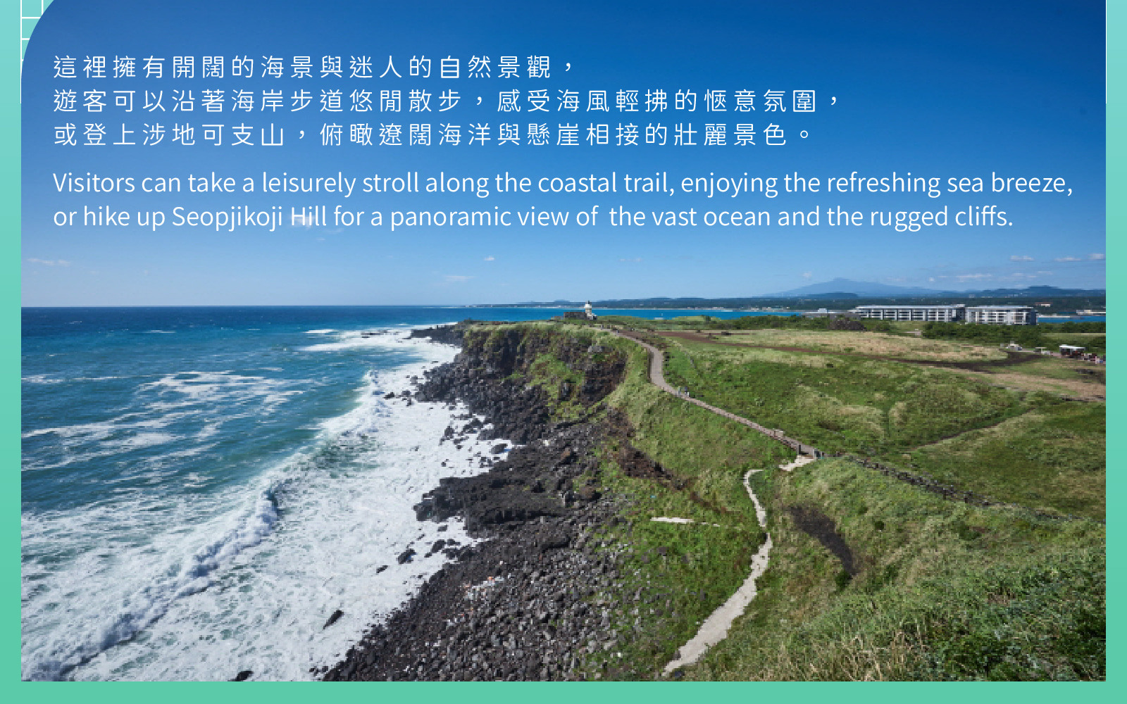 Jeju Eastern / Western / Cherry Blossom / Hydrangea / Private Tour 