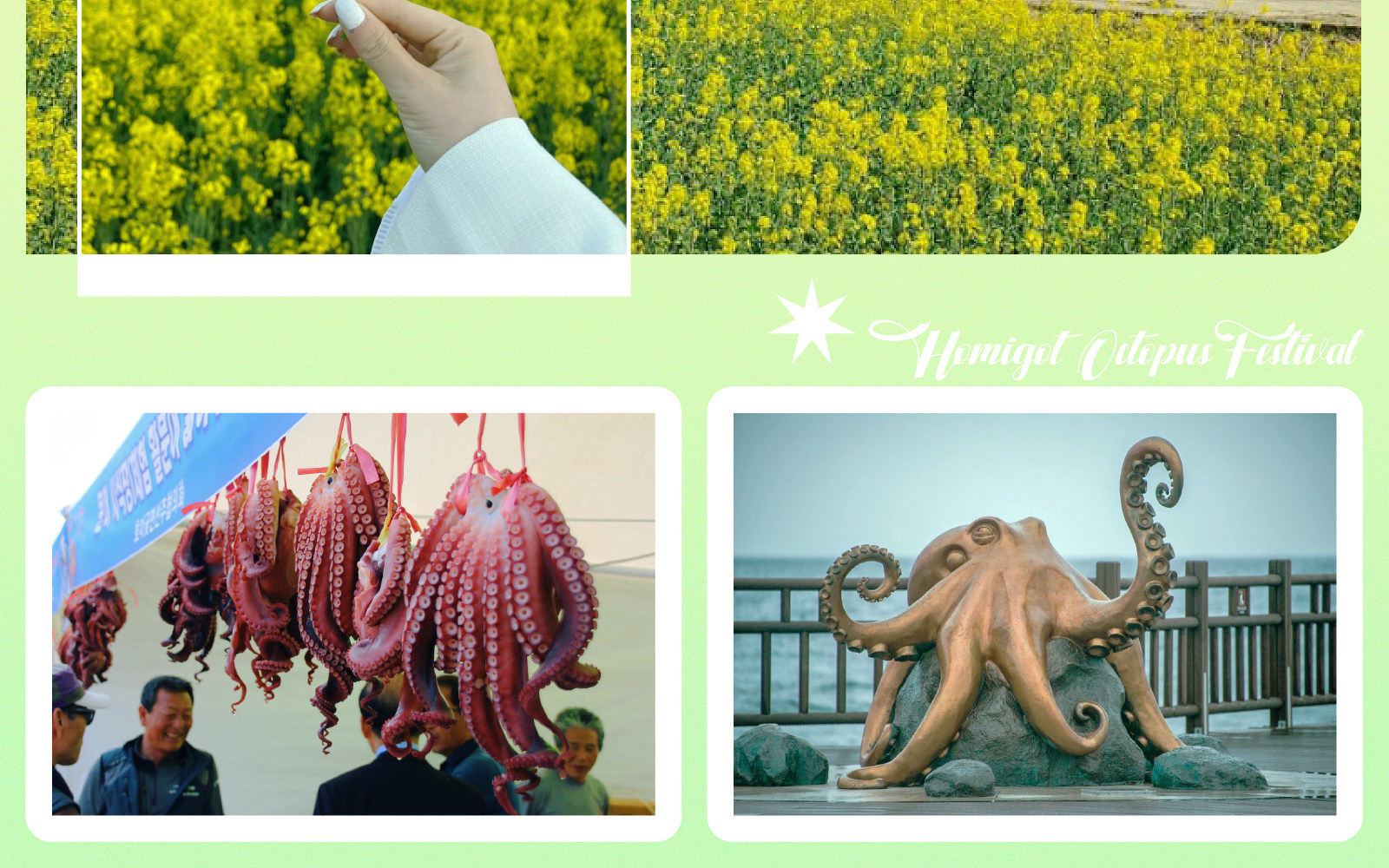 浦項Space Walk x 櫻花、九龍浦、虎尾岬油菜花