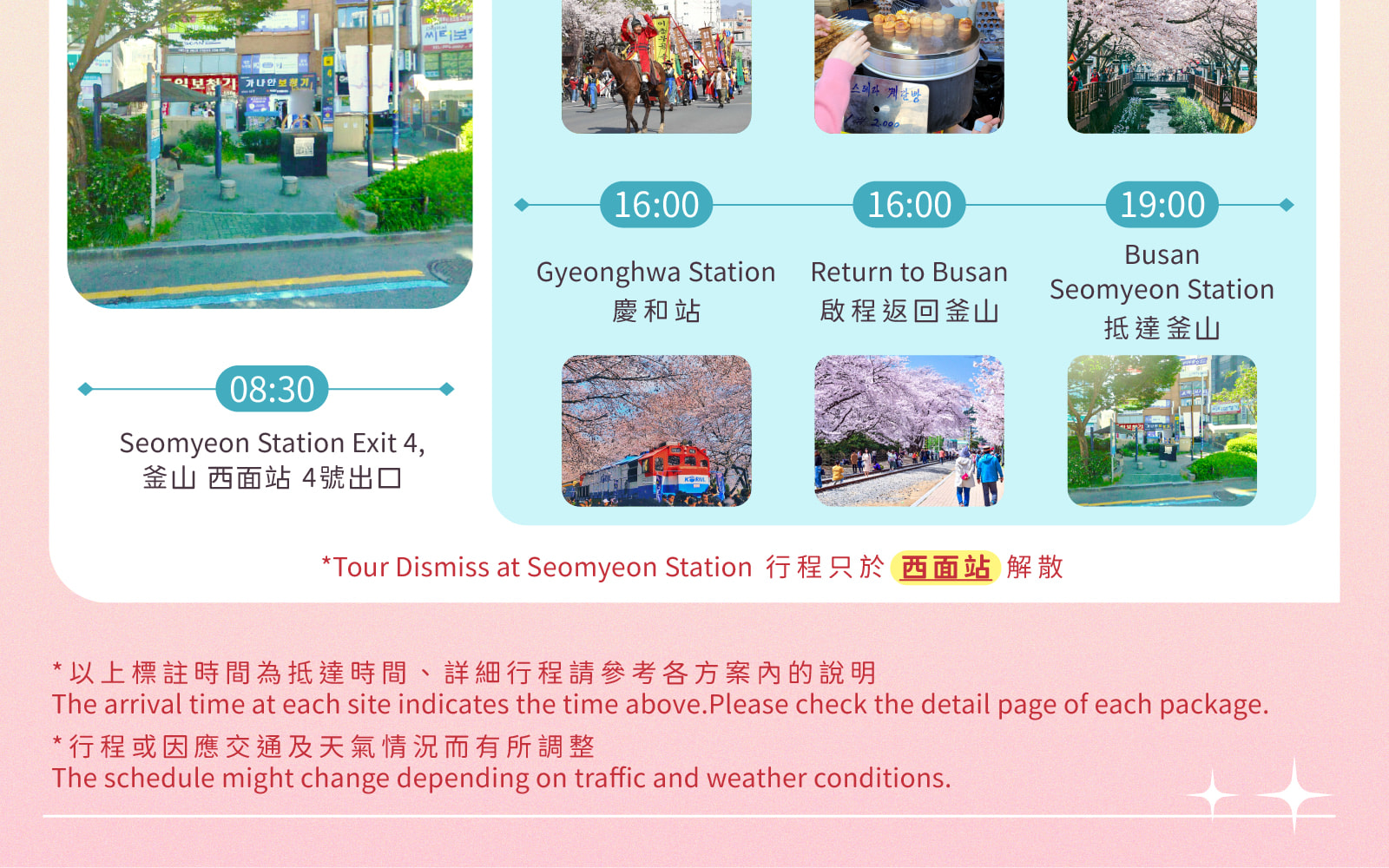 Jinhae Gunhangje Cherry Blossom Festival Day Tour from Seoul/Busan 