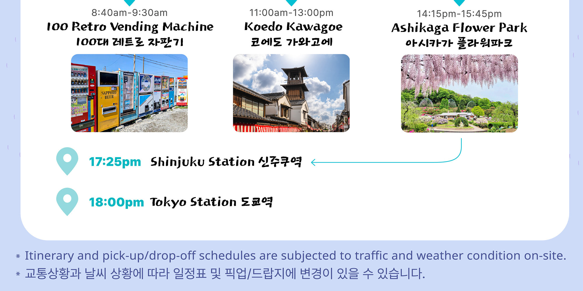 季節限定: 國營常陸海濱公園 & 足利花卉公園一日遊 (東京出發)