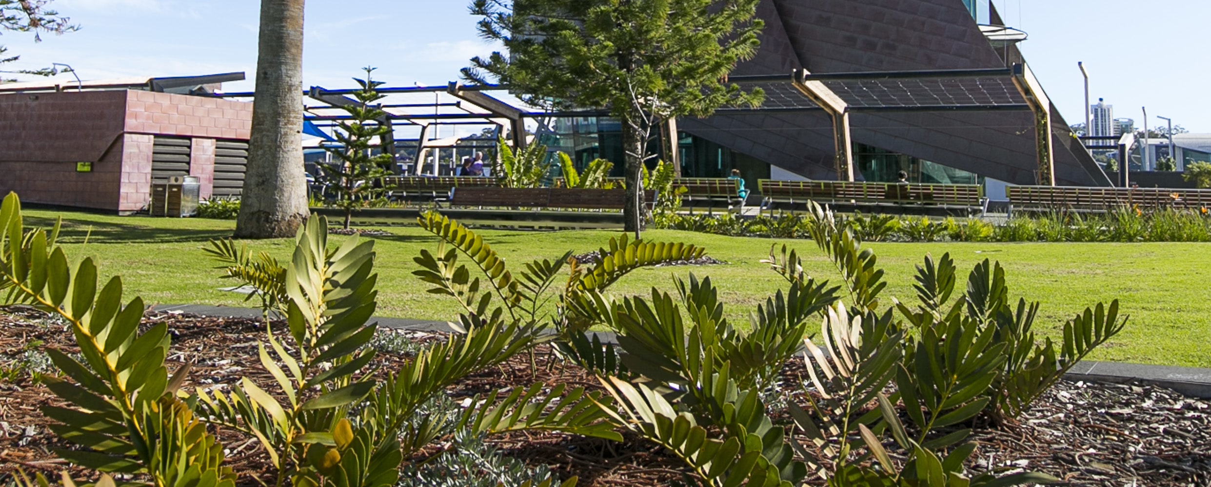 Morning Perth & Fremantle City Explorer Half-Day Tour - Thumbnail 12