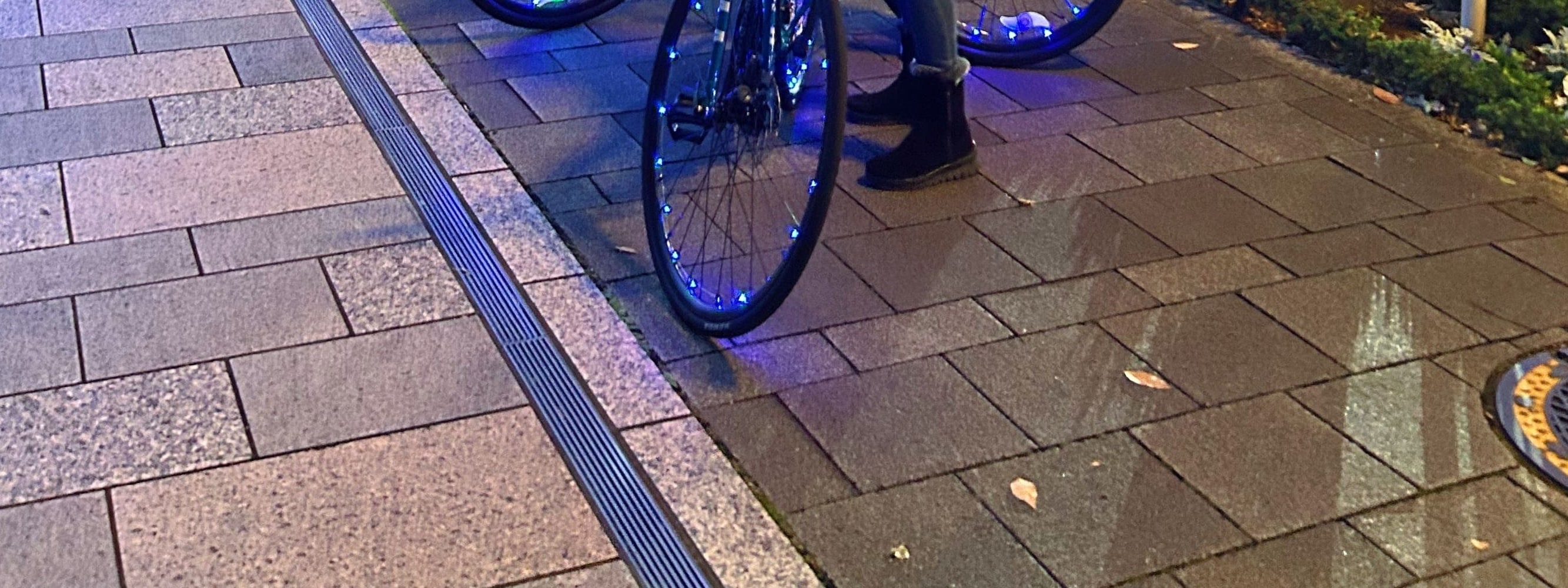 東京隱藏景點 2 小時霓虹燈自行車之旅