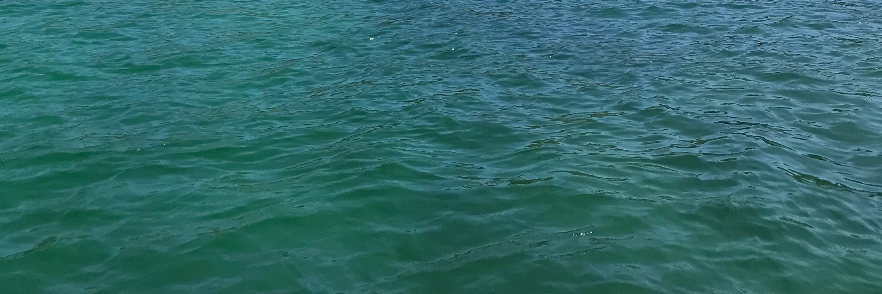 聖克魯斯島（Santa Cruz）海灣之旅