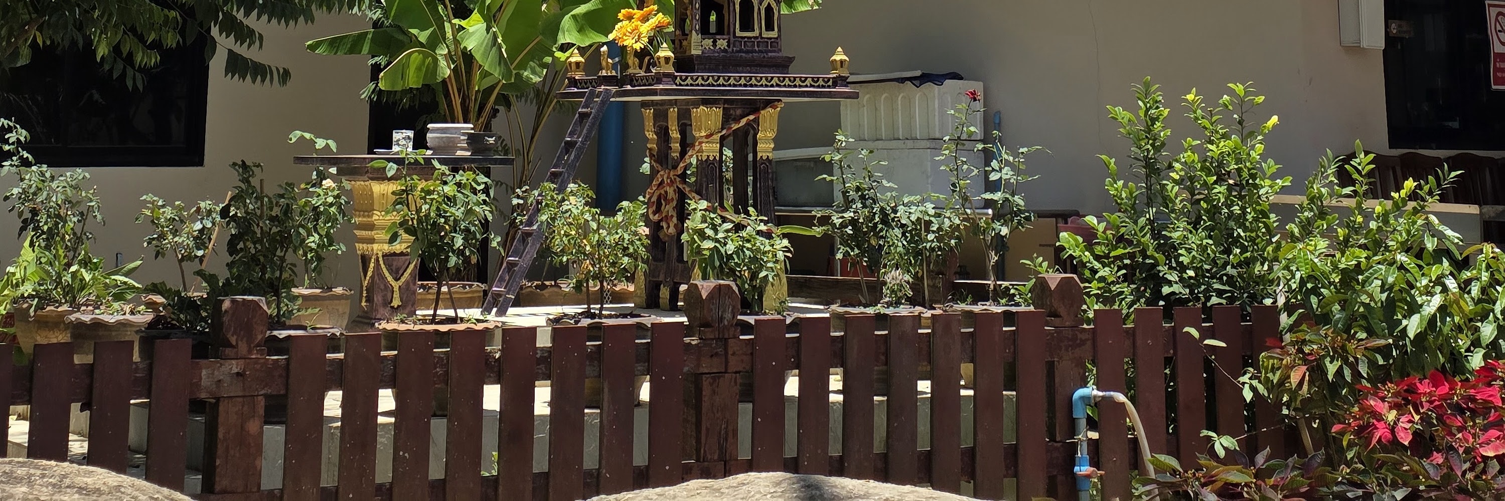 Cultural Temple Day Tour with Big Buddha Hike and Organic Thai Lunch