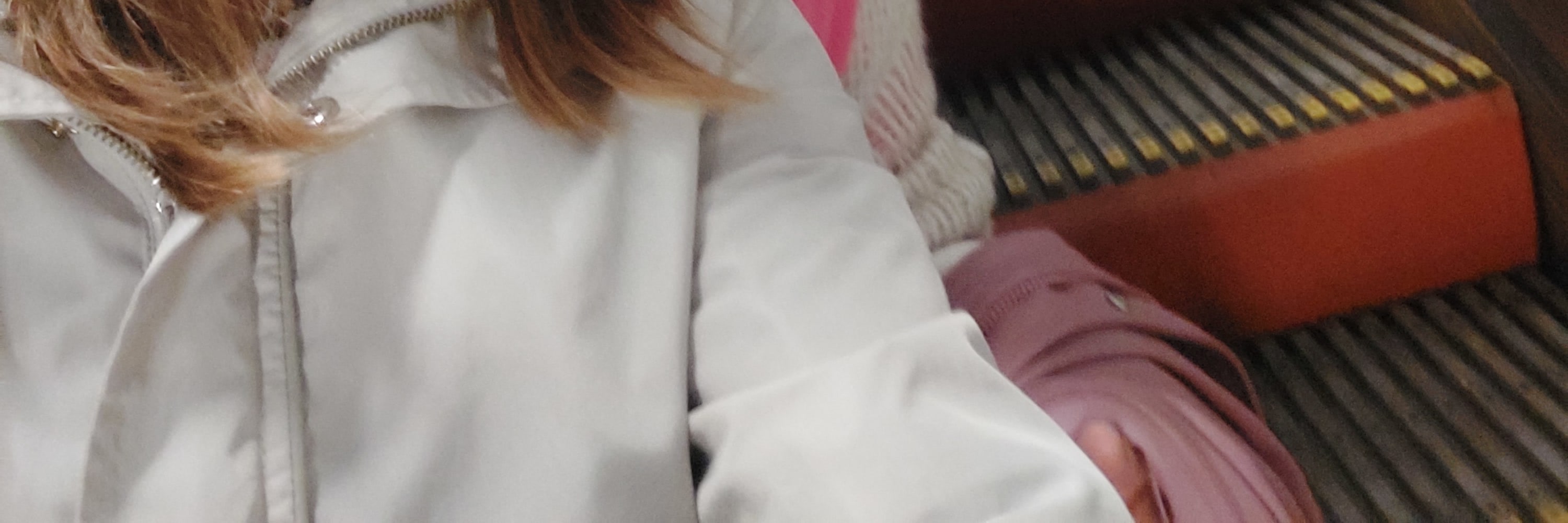 安特衛普半日互動式體驗城市之旅