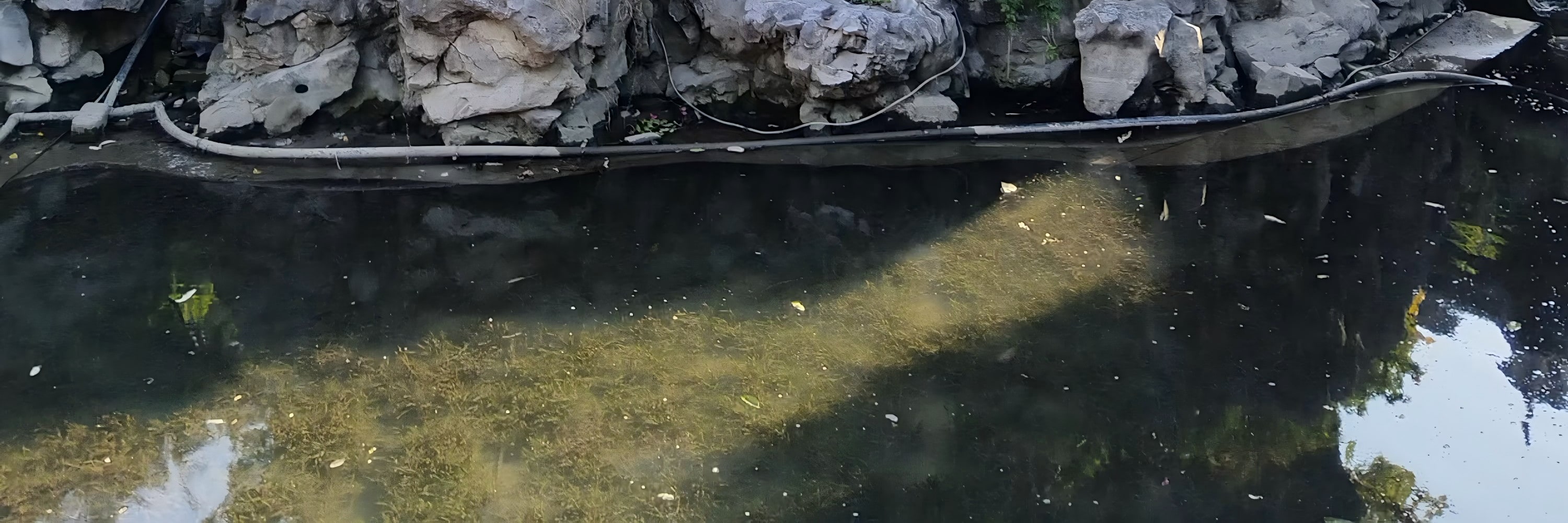 上海豫園專業講解+中國茶體驗之旅