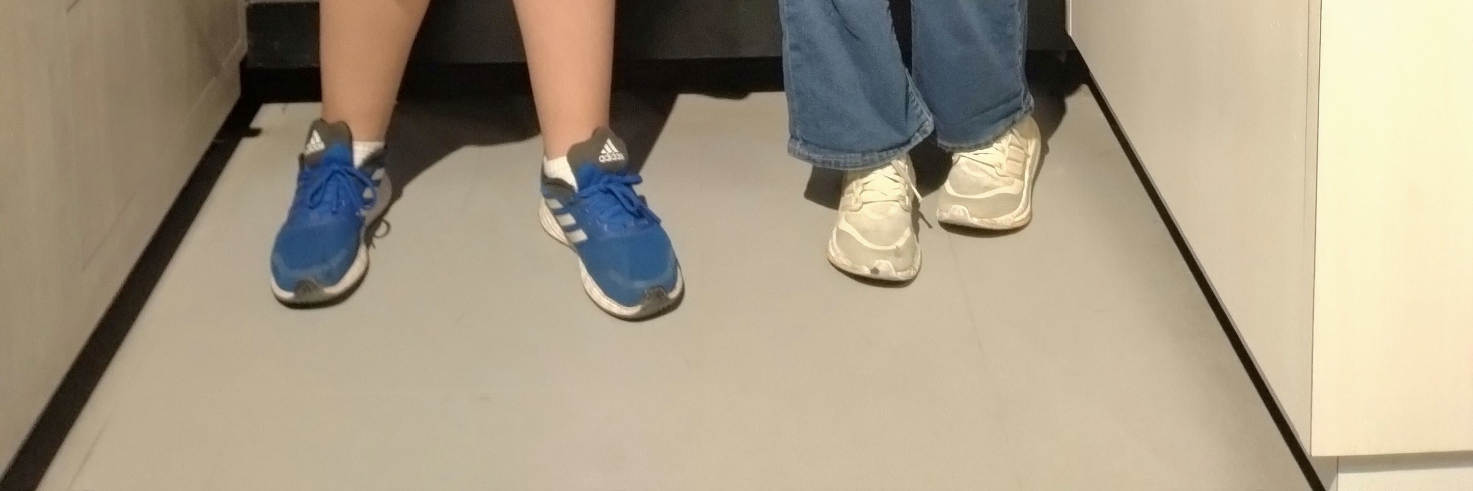 廣島 / 宮島一日私人遊