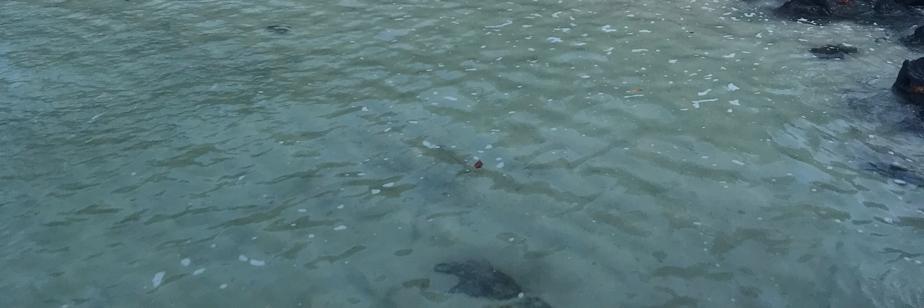 聖克魯斯島（Santa Cruz）海灣之旅