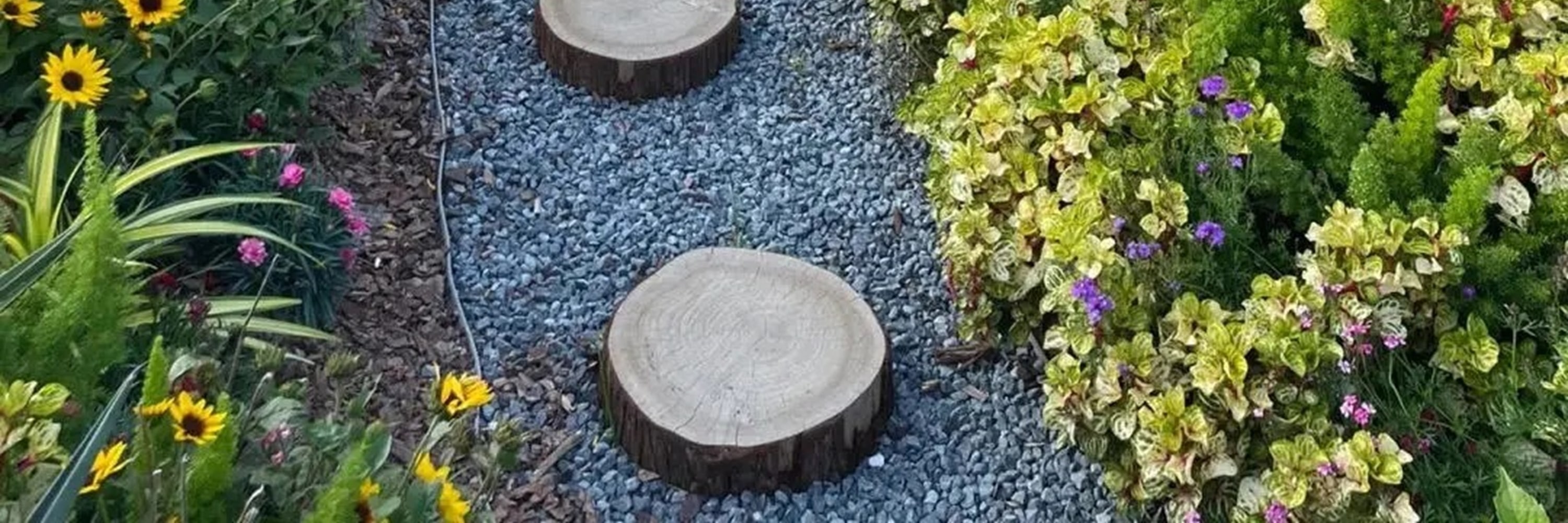 福建廈門植物園&南普陀&廈門大學1日遊（探秘廈門植物園+南普陀寺+邂逅廈門大學+感受華僑領袖陳嘉庚精神+體驗佛教文化+廈門往返）