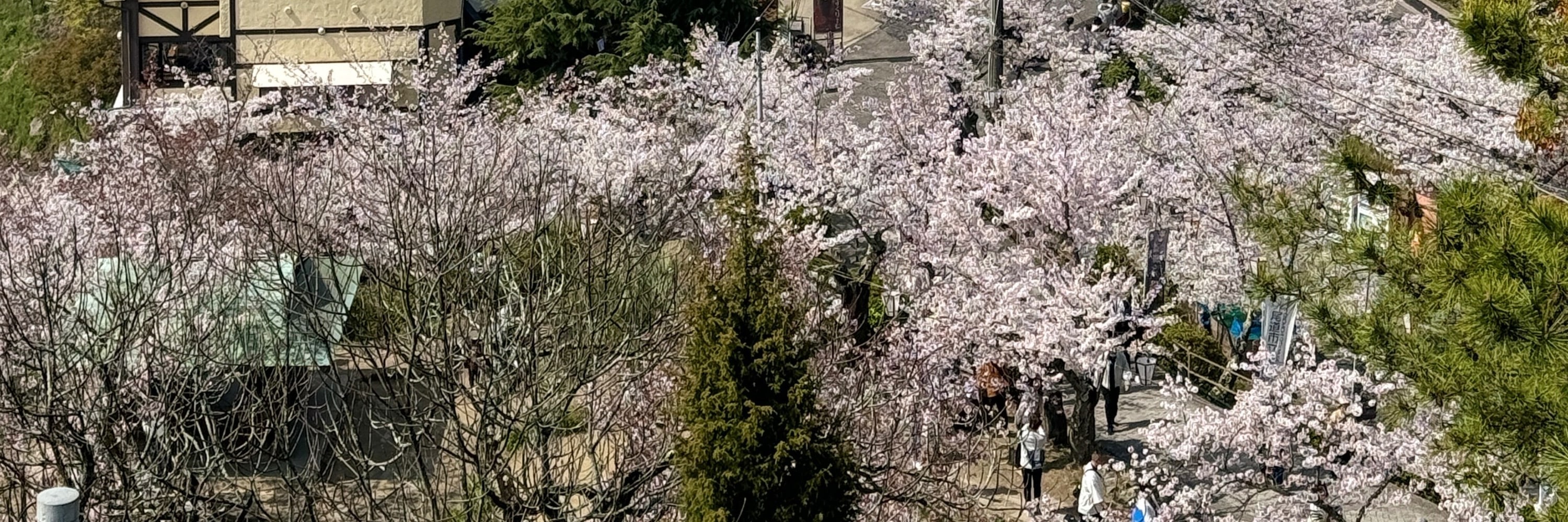 尾道市立美術館