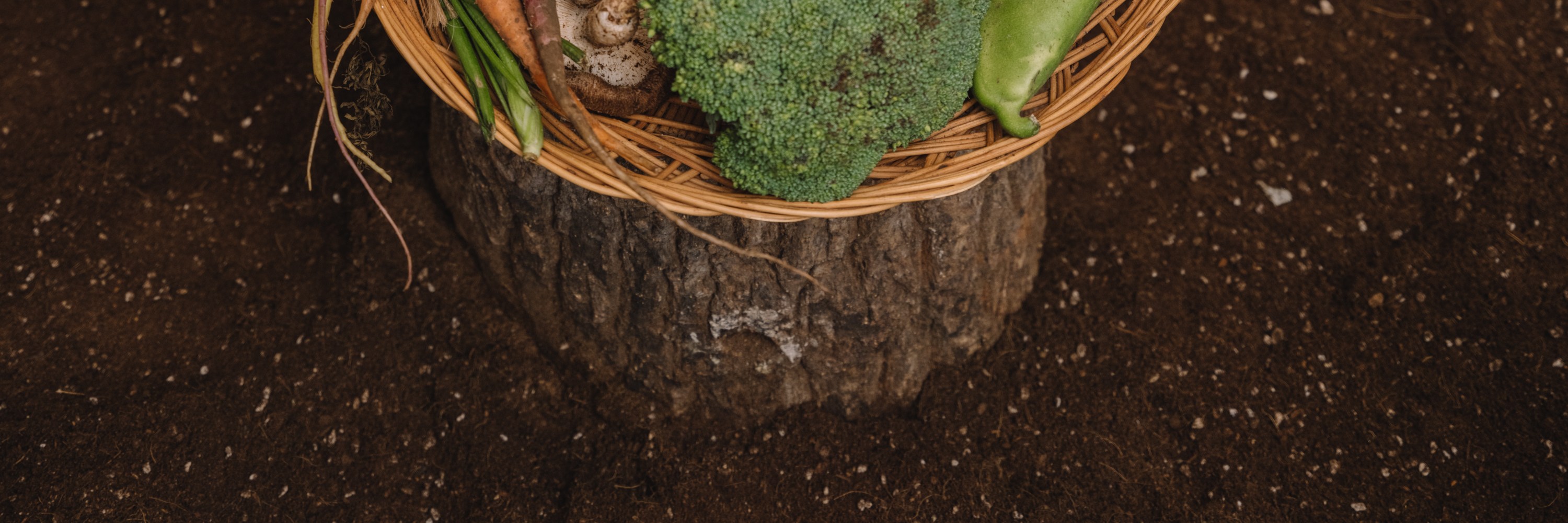 GomawoTOTO: Fun Indoor Soil Play and Cooking Class Experience