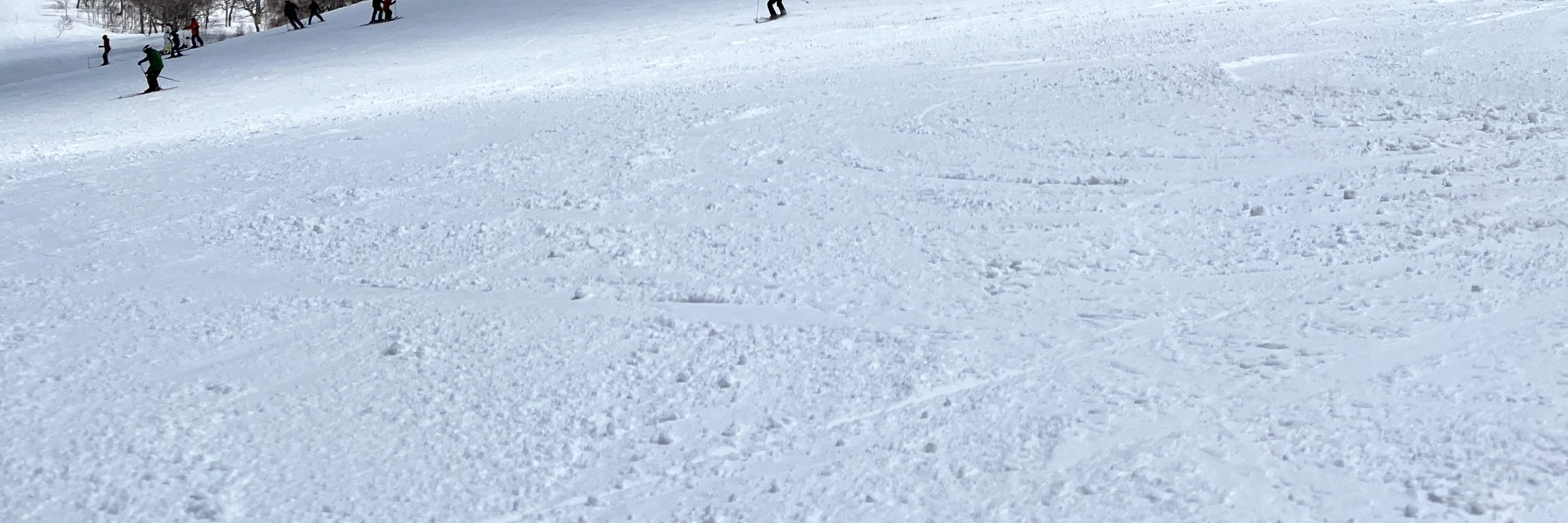 二世古私人滑雪 / 單板滑雪課程（成人 / 兒童）
