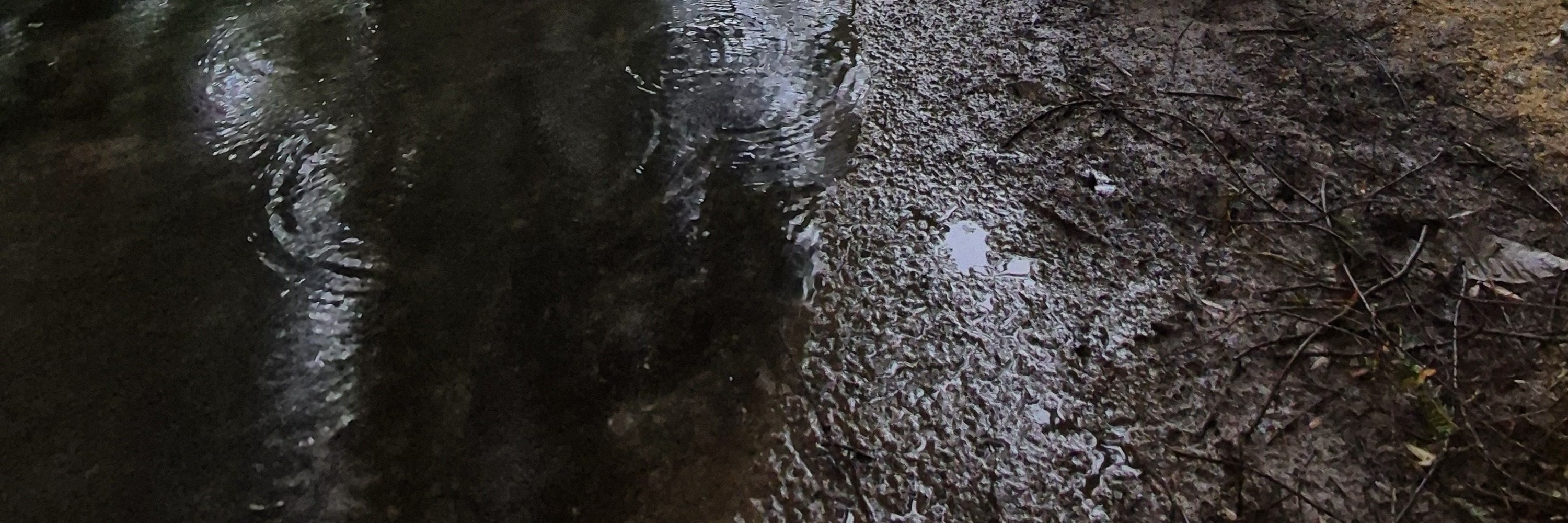 人稱“秘密花園”的洛江水路公園，真是一顆隱藏的寶石，讓人聯想到歐洲的公園。來自全國各地的年輕人都湧向這裡，拍攝令人驚歎的照片。該公園與安東大壩的建設同時建成，提供了一個c