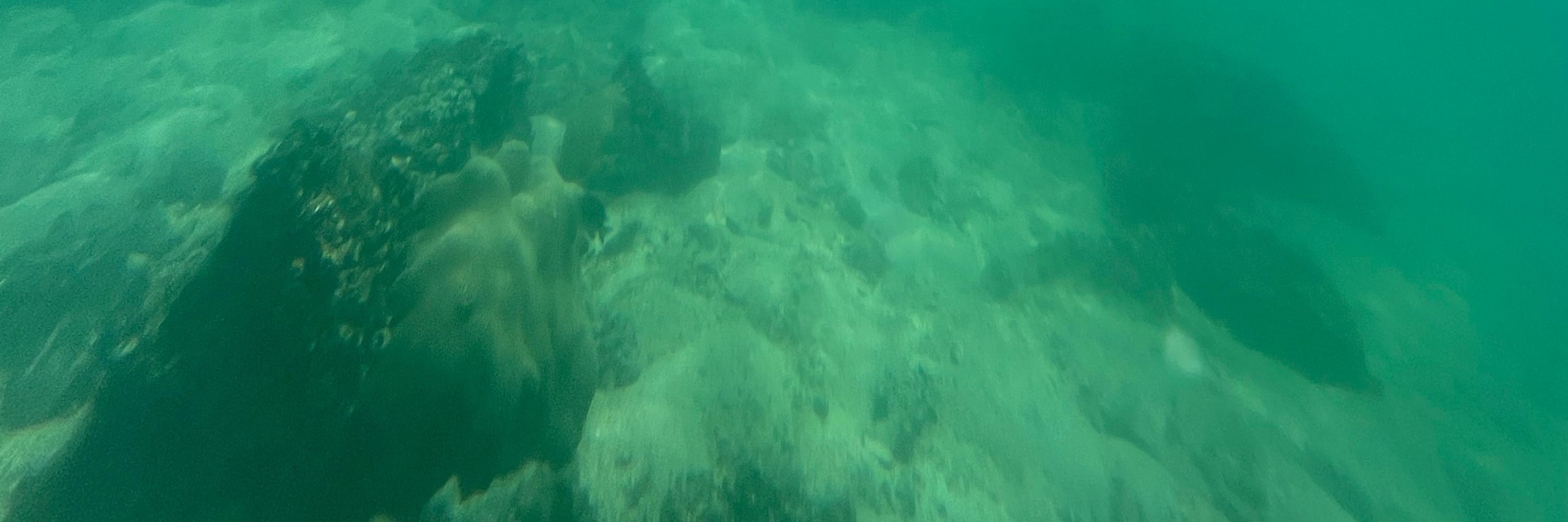 西貢｜綠蛋島及獨木舟浮潛體驗一天團