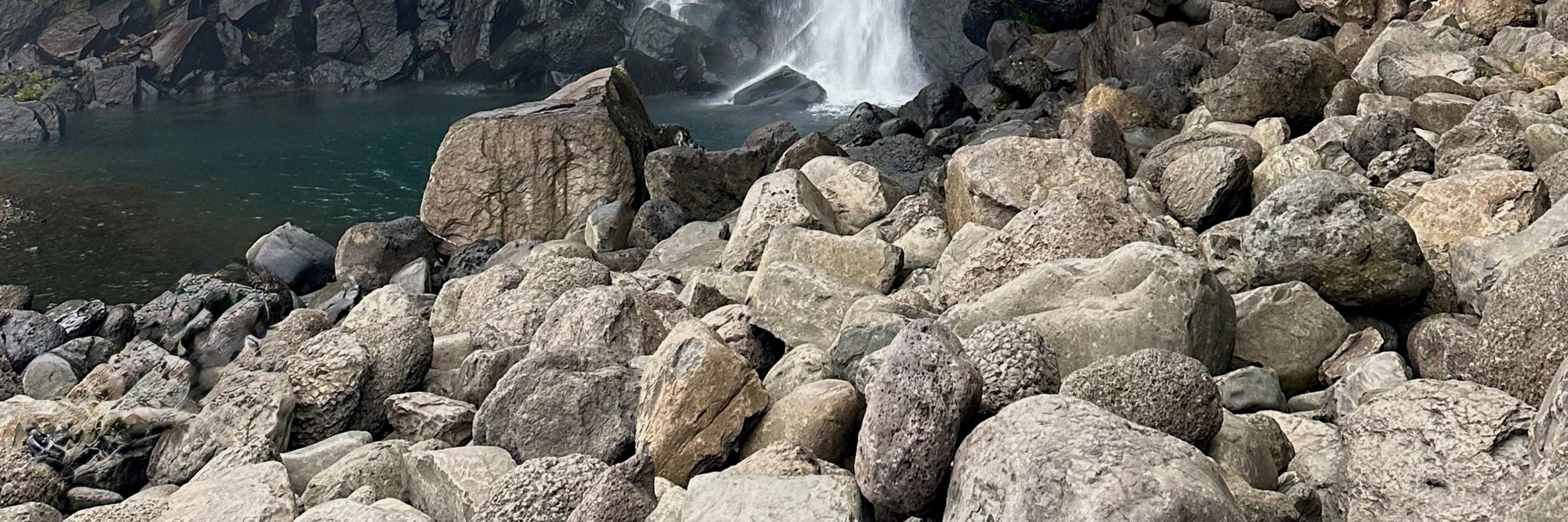 濟州賞櫻及草莓採摘小團一日遊
