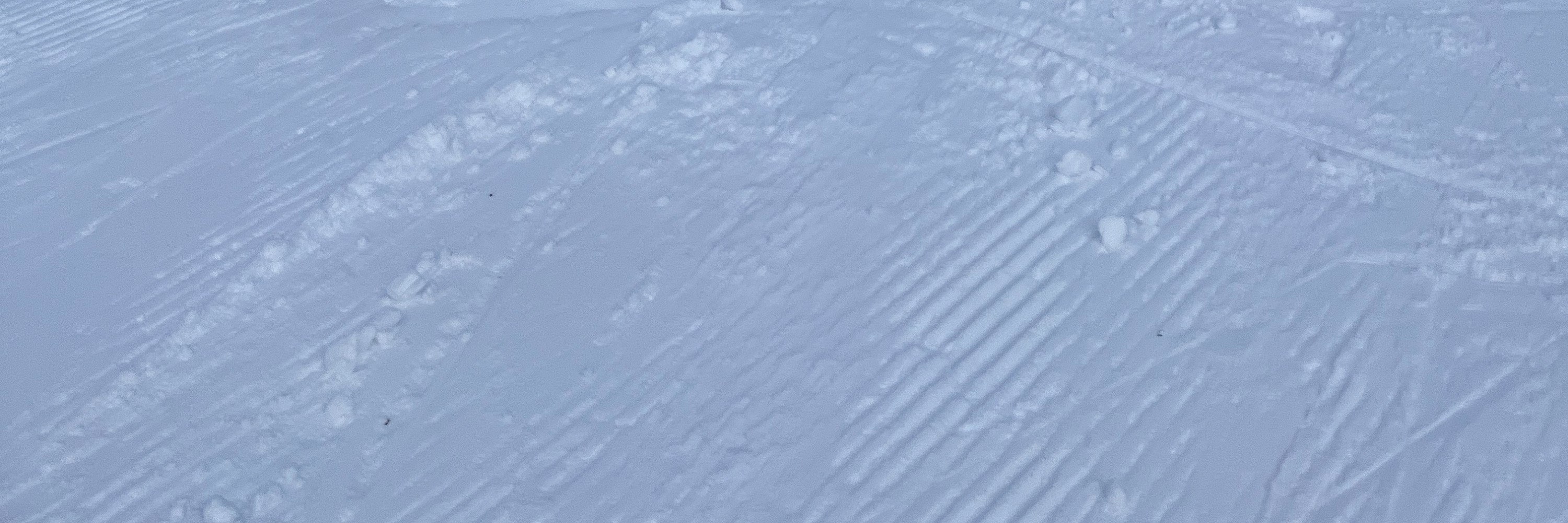 二世古私人滑雪 / 單板滑雪課程（成人 / 兒童）