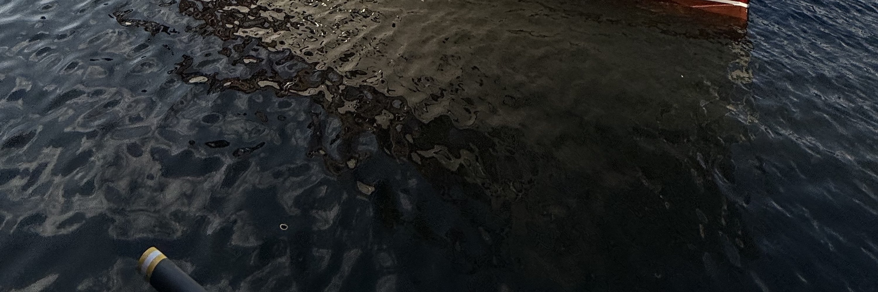 海明威遊船柏林右前方