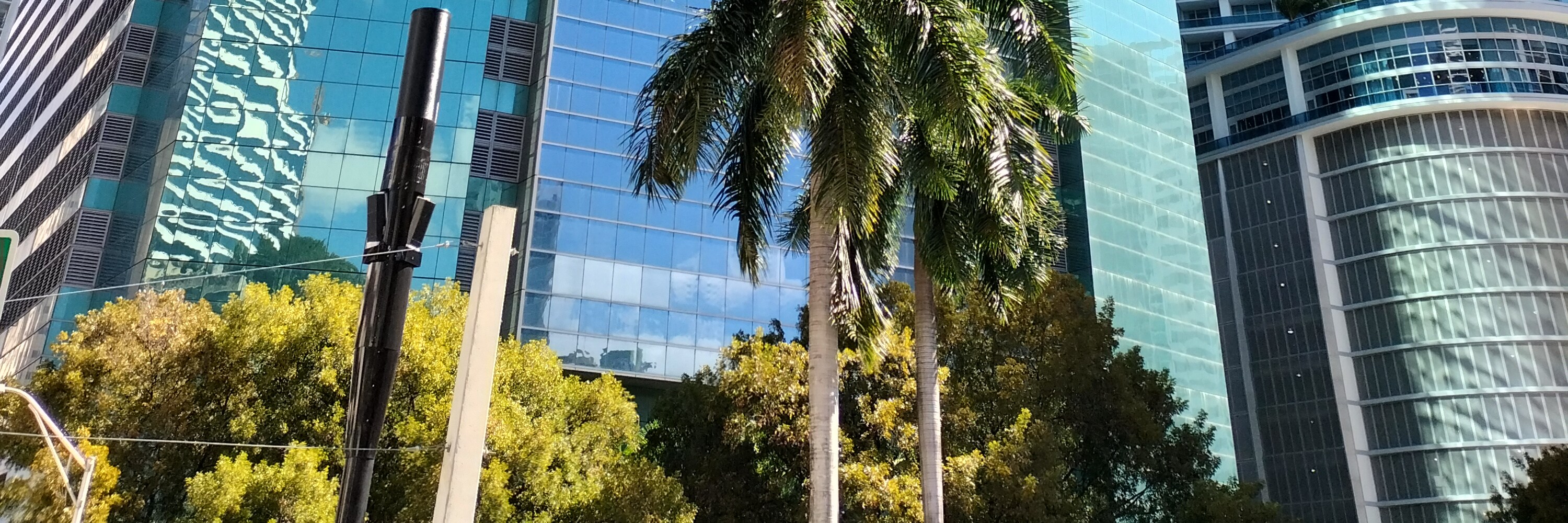 Miami Safari: All-in-1 Tour, Bus, Boat and Walking Best Discovery