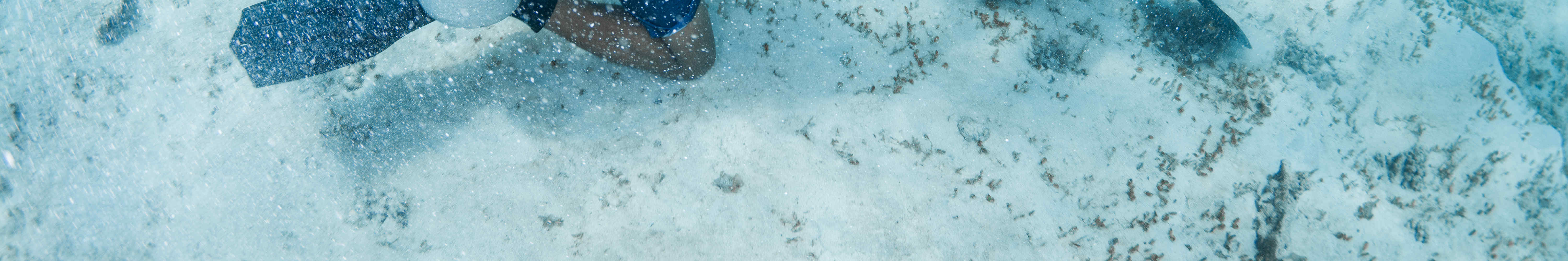 佩母德蘭 PADI 潛水中心體驗潛水