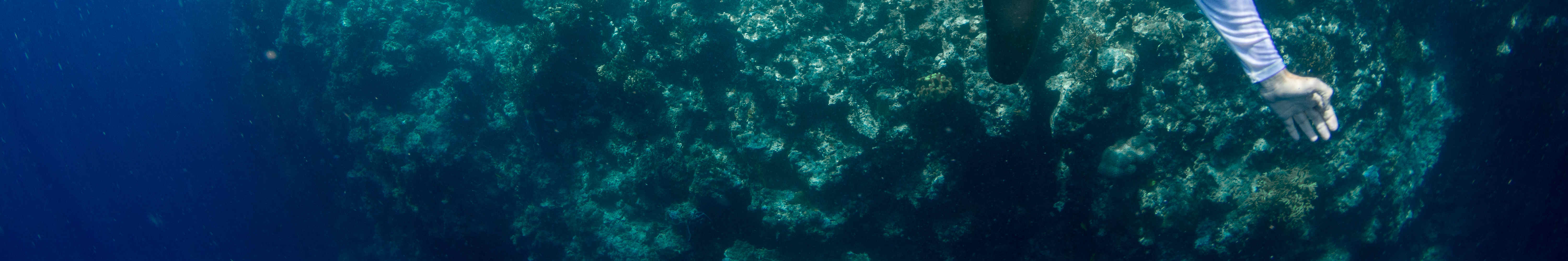 門姜岸島半日浮潛體驗（PADI五星級潛水中心）