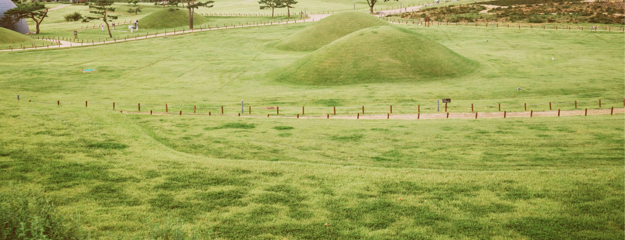 [From Daegu] Gyeongju UNESCO Day Tour: Bulguksa Temple, Cheomseongda