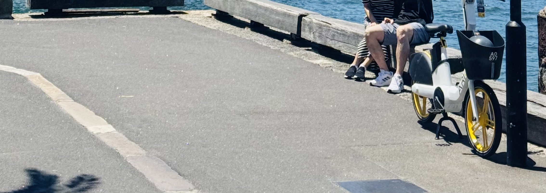 Milsons Point Viewpoint