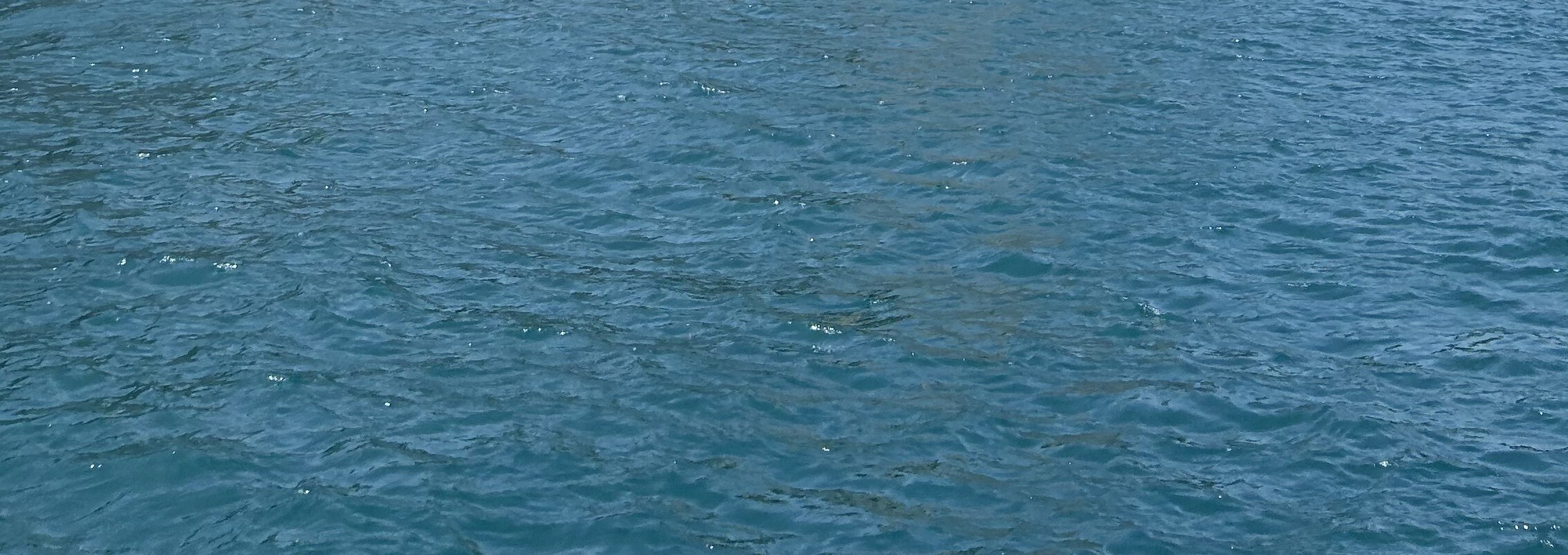 Beyond Continents: 3-Hour Istanbul Bosphorus Cruise with Asian Shore
