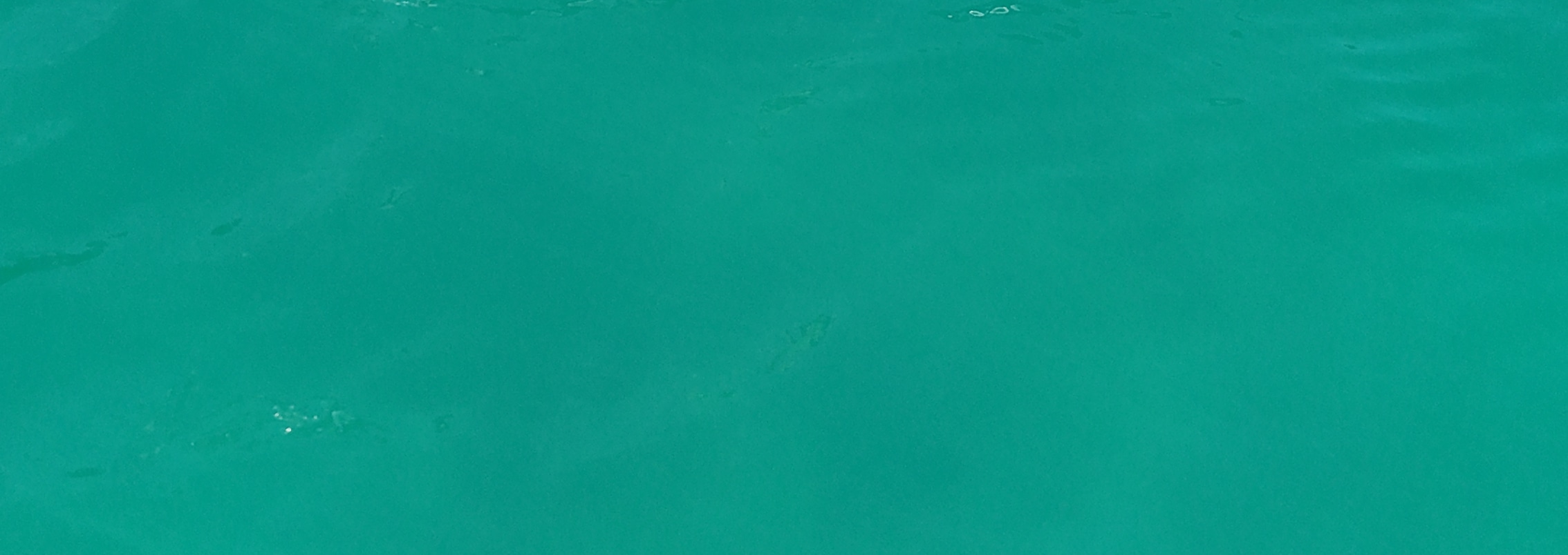 搭乘Salaya Yachts遊艇，在蓬科島 (Ponco Island) 的碧綠海水中巡航，享受極致的熱帶假期。