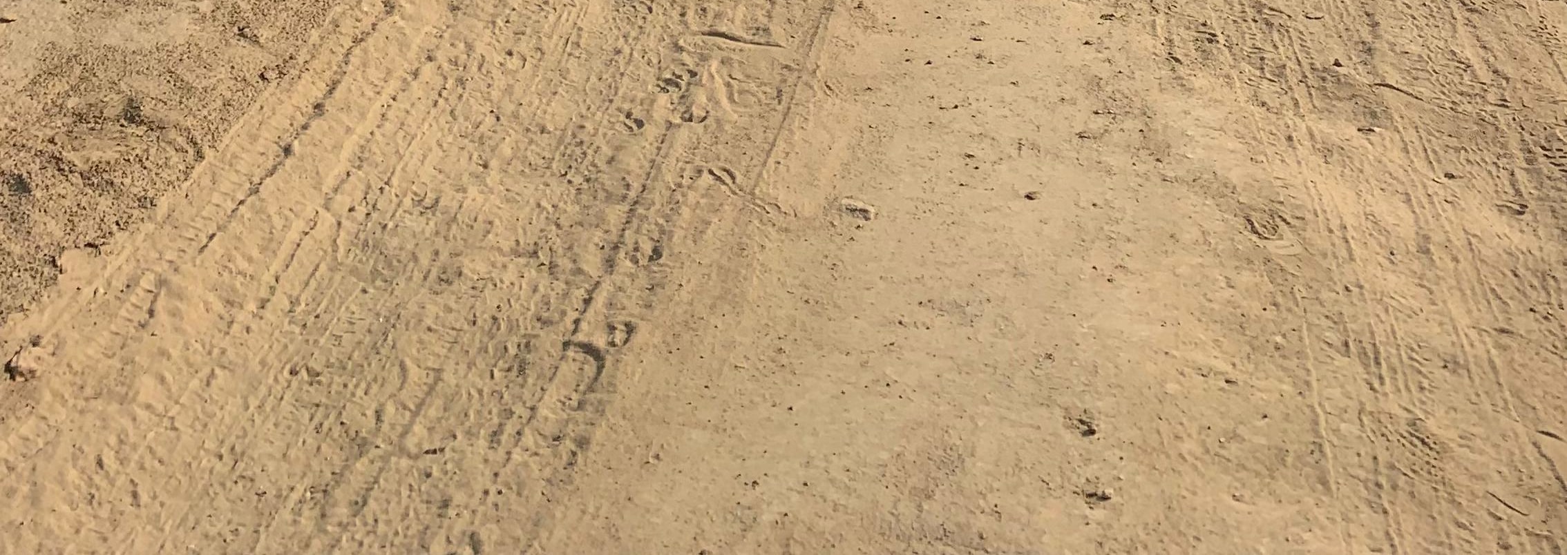 Nomadic Non-Touristic Overnight Camel & Desert Safari Tour