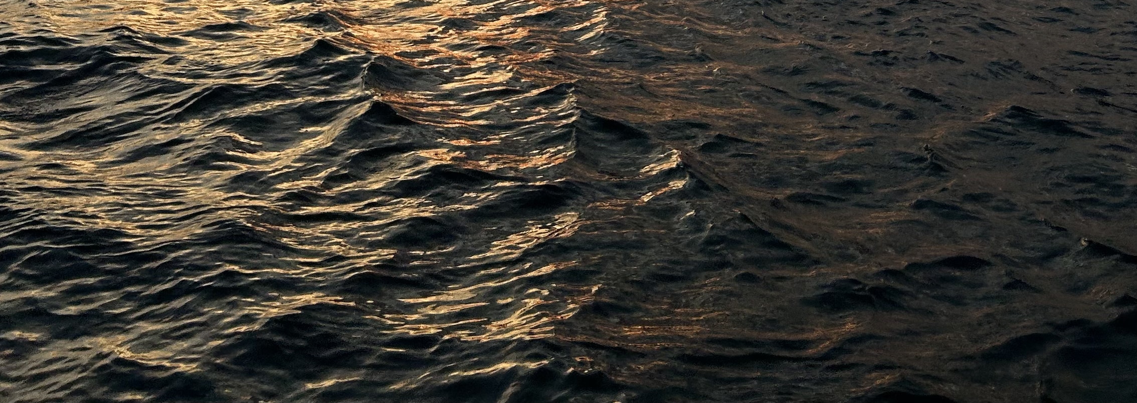 Spectacular Istanbul Sunset Cruise: 3 Hours with Asian Side Explore