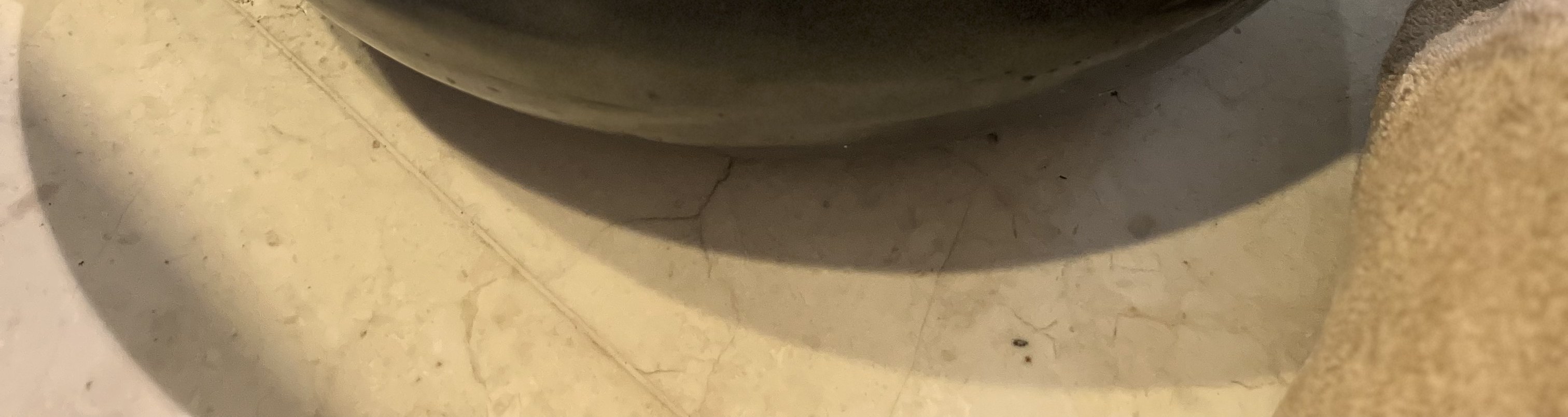 烏布皇家卡美拉別墅酒店Aum Spa按摩水療體驗