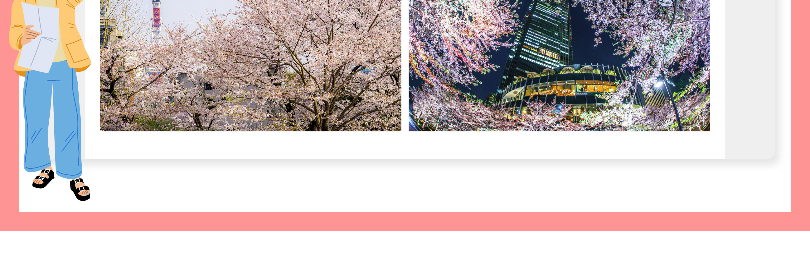 東京櫻花特輯：昭和紀念公園/六義園/飛鳥山