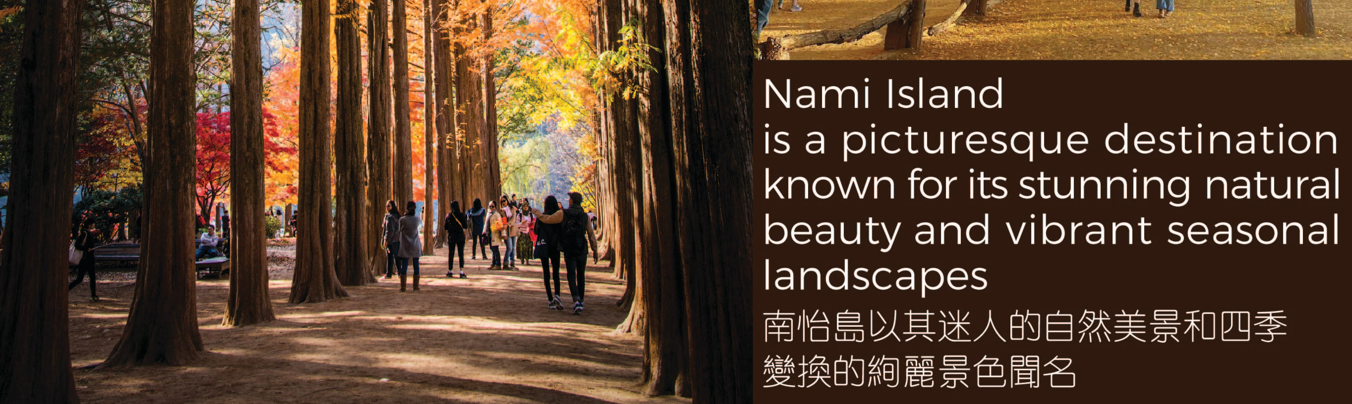 Nami Island & Happy Panorama Field & Morning Calm & Railbike